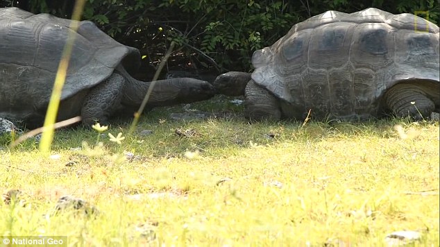He was on Assumption Island - north of Madagascar - when the incident happened during filming